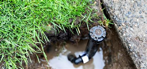 why does my sprinkler head leak|Diagnosing Sprinkler Valve Leaks: 8 Causes and Their Fixes